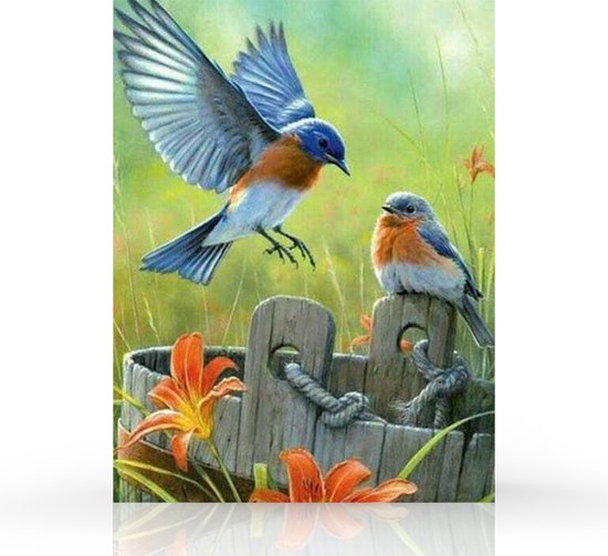 Rubye diamond painting pakket vogels en bloemen voor kinderen